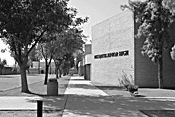 Peter Scanlon Mesquite Junior High in Gilbert. Black mold could've become the school's mascot